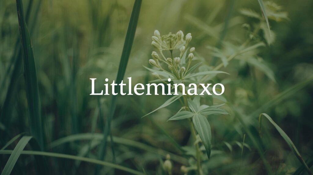 Littleminaxo